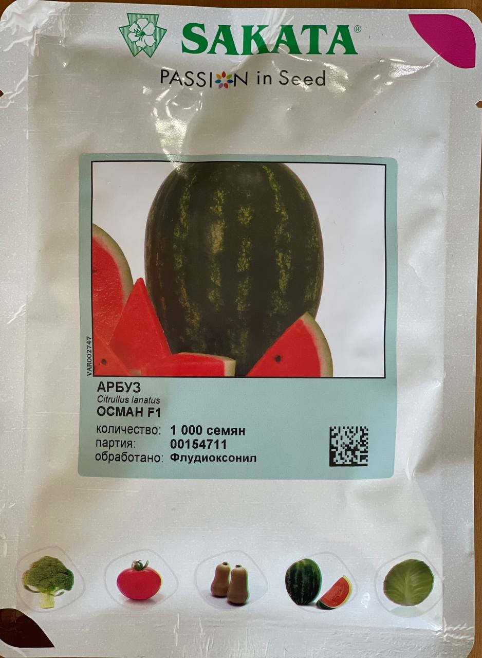 Арбуз Осман